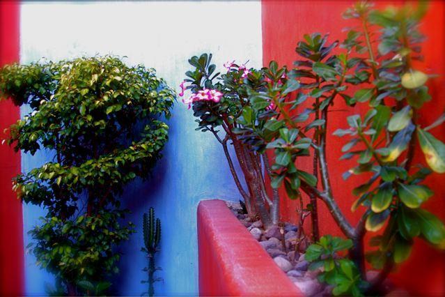 Villa Carolina Boutique Hotel Adults Only Zihuatanejo Ngoại thất bức ảnh